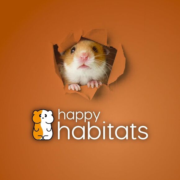 Happy Habitats The Halo Small Pet Carrier and Hamster Exercise Ball Mice Gerbils - Picture 8 of 16